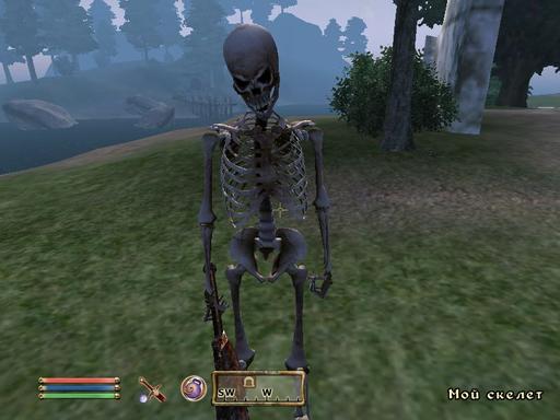 Elder Scrolls IV: Oblivion, The - Путь некроманта.